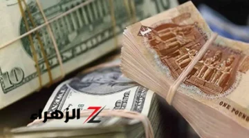 تحرك جديد بالبنوك.. سعر الدولار أمام الجنيه المصري بعد قرارات البنك المركزي الأخيرة